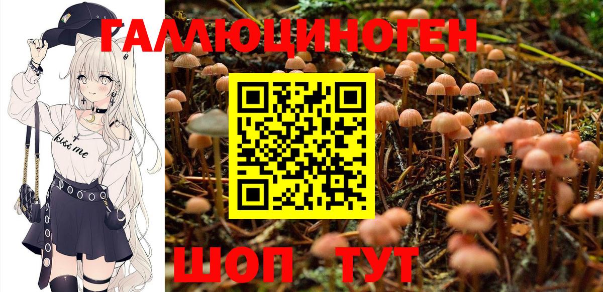 Псилоцибиновые грибы GOLDEN TEACHER Нижний Тагил