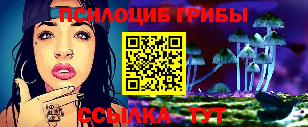 Псилоцибиновые грибы MAGIC MUSHROOMS  Вход с VPN  Нижний Тагил 